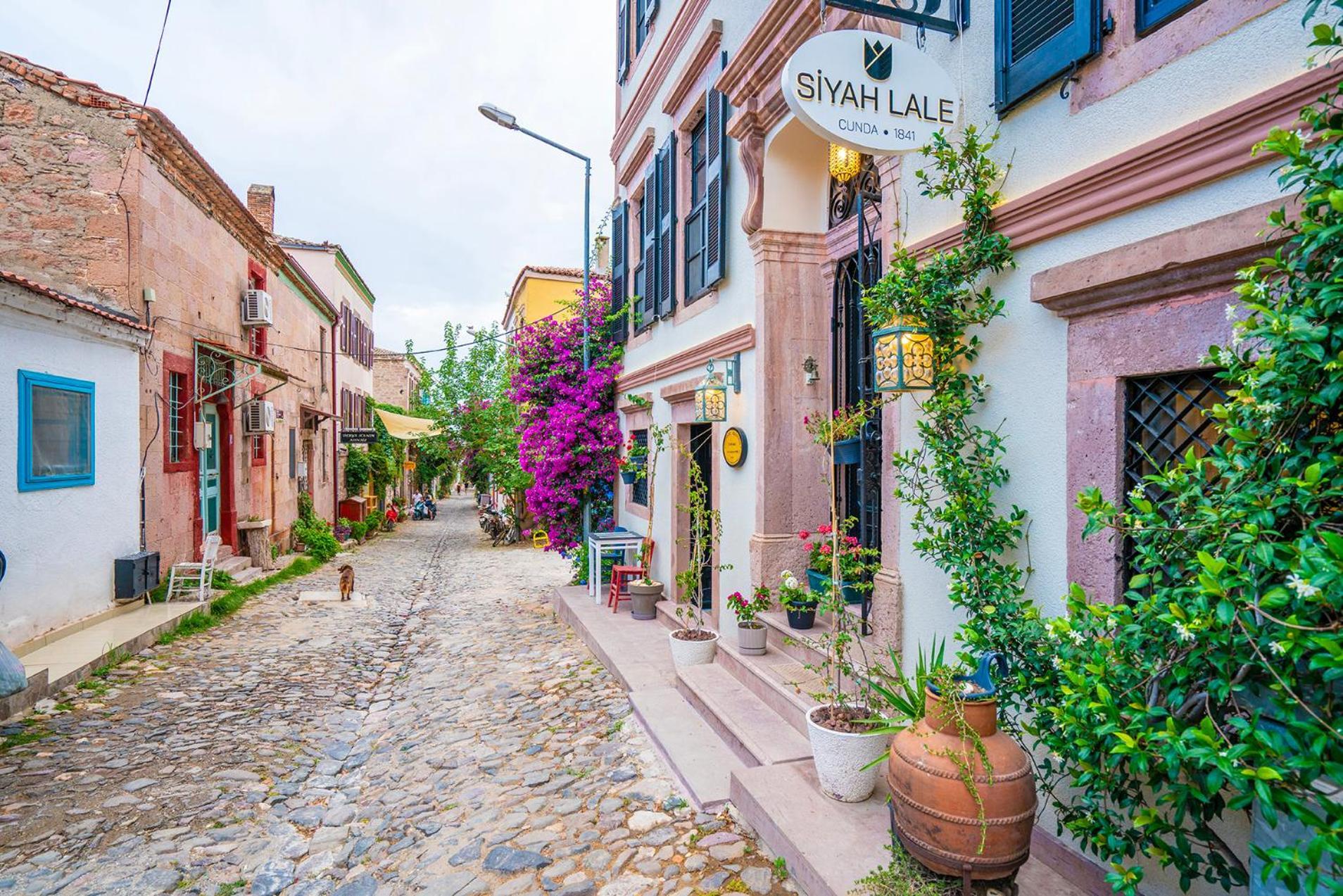 Siyah Lale Cunda 1841 (Adults Only) Hotel Ayvalik Exterior photo